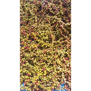 trái đủng đỉnh khô 1kg