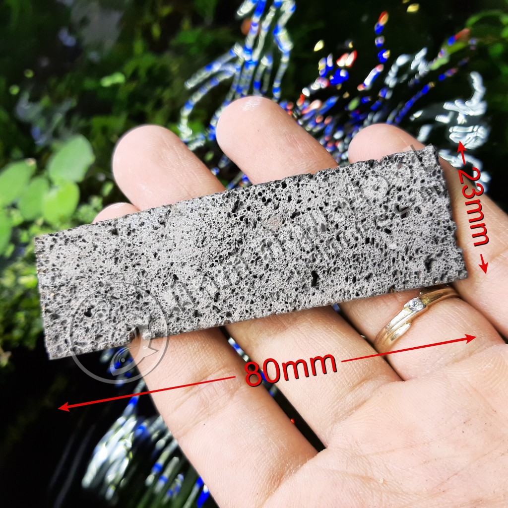 Nham Thạch Lát - namoPAD ☘ Giá Thể Ươm Ráy, Bucep Cực Tốt