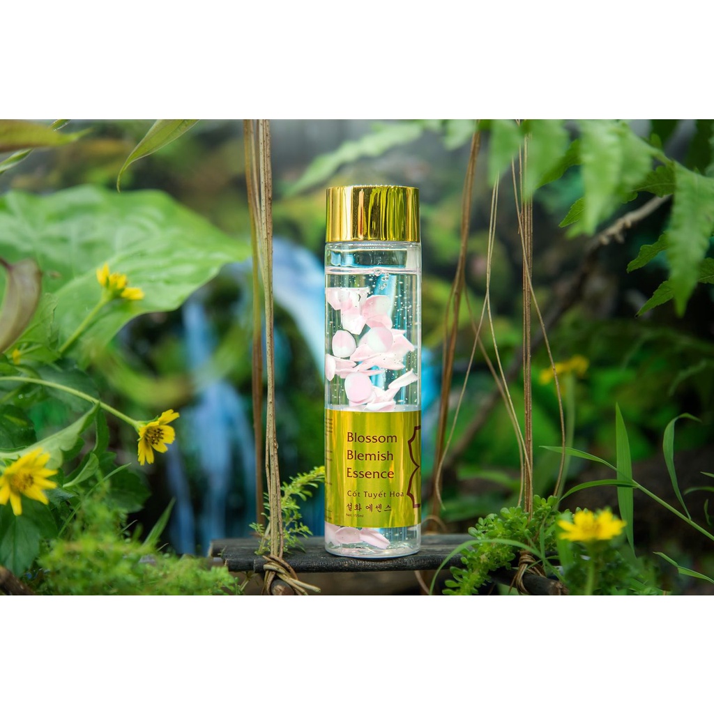 Cốt Tuyết Hoa Magic Skin 👍 Essence cấp ẩm  chiết xuấ hoa anh đào ✔ CHÍNH HÃNG