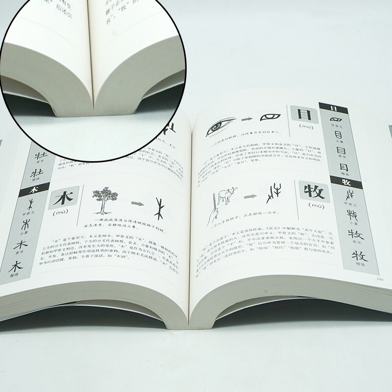 Sách -Hoạ Thuyết Hán Tự, Học Nhớ 1000 Chữ Hán Bằng Phân Tích Hình Ảnh
