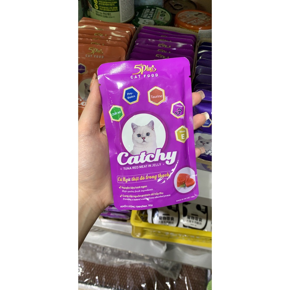 Pate cho mèo Catchy 5 Plus thơm ngon đủ vị 70g