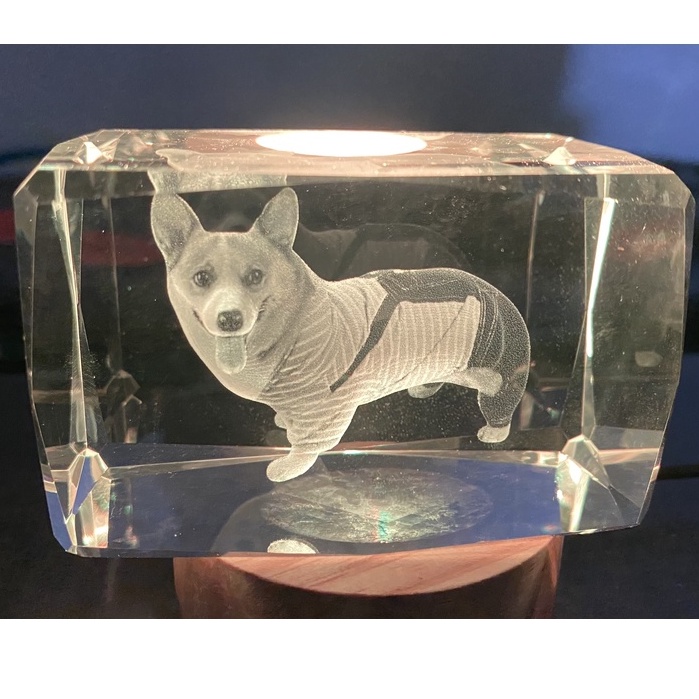 Đèn Ngủ 3D Quả Cầu Pha Lê Phát Sáng ảnh corgi dễ thương, Quà Tặng Sinh Nhật, Quà Lưu Niệm, Qùa Tặng Giáng Sinh