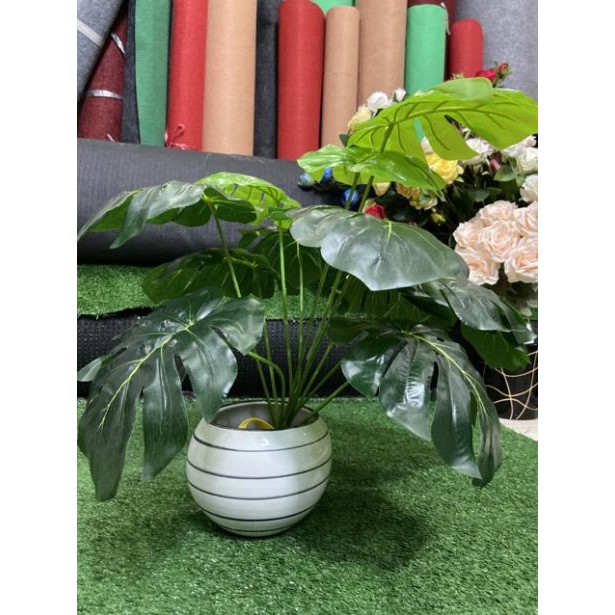 Phụ kiện cây giả trang trí- cây giả chụp ảnh 12 lá