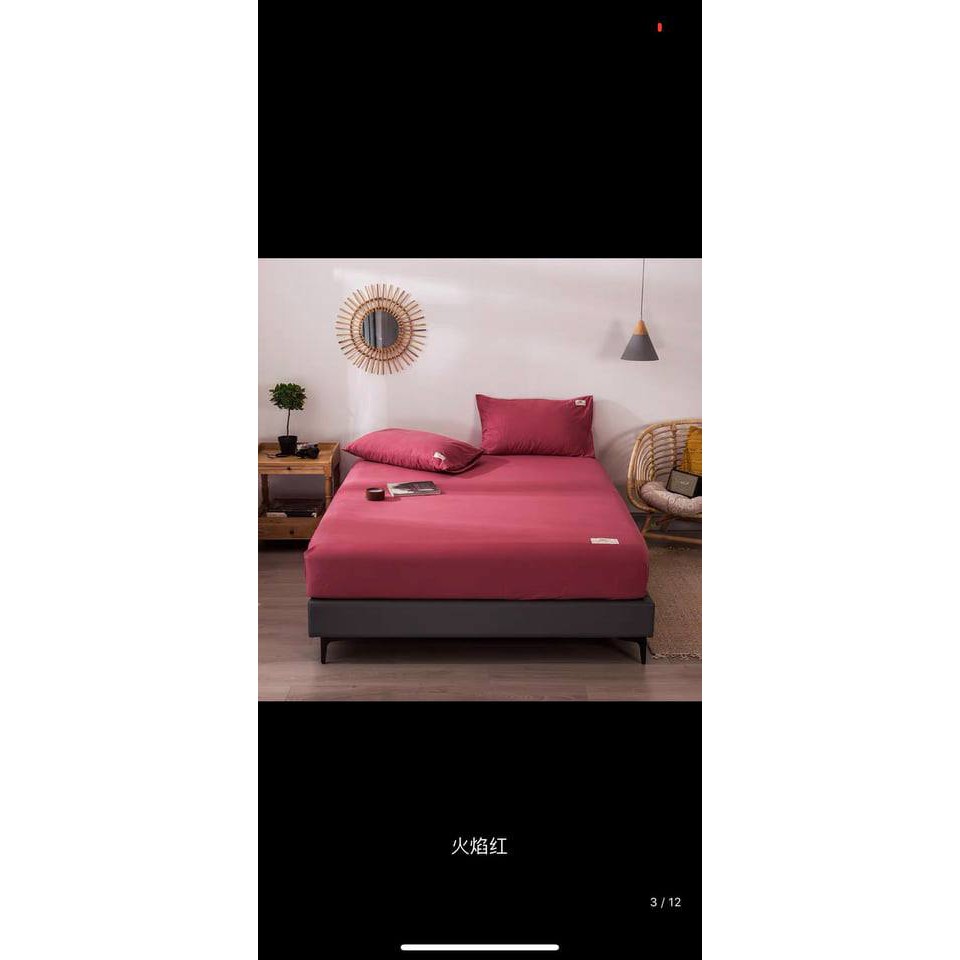 Bộ Ga Gối Cotton Tici Nhập Khẩu , Phong Cách Hàn Quốc, Chất đẹp , Màu đẹp | BigBuy360 - bigbuy360.vn