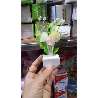 Đèn ngủ cây nấm Hoadien1