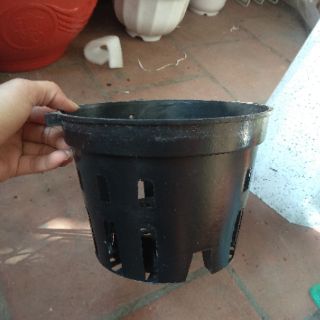 Chậu nhựa đen trồng lan phi 18cm