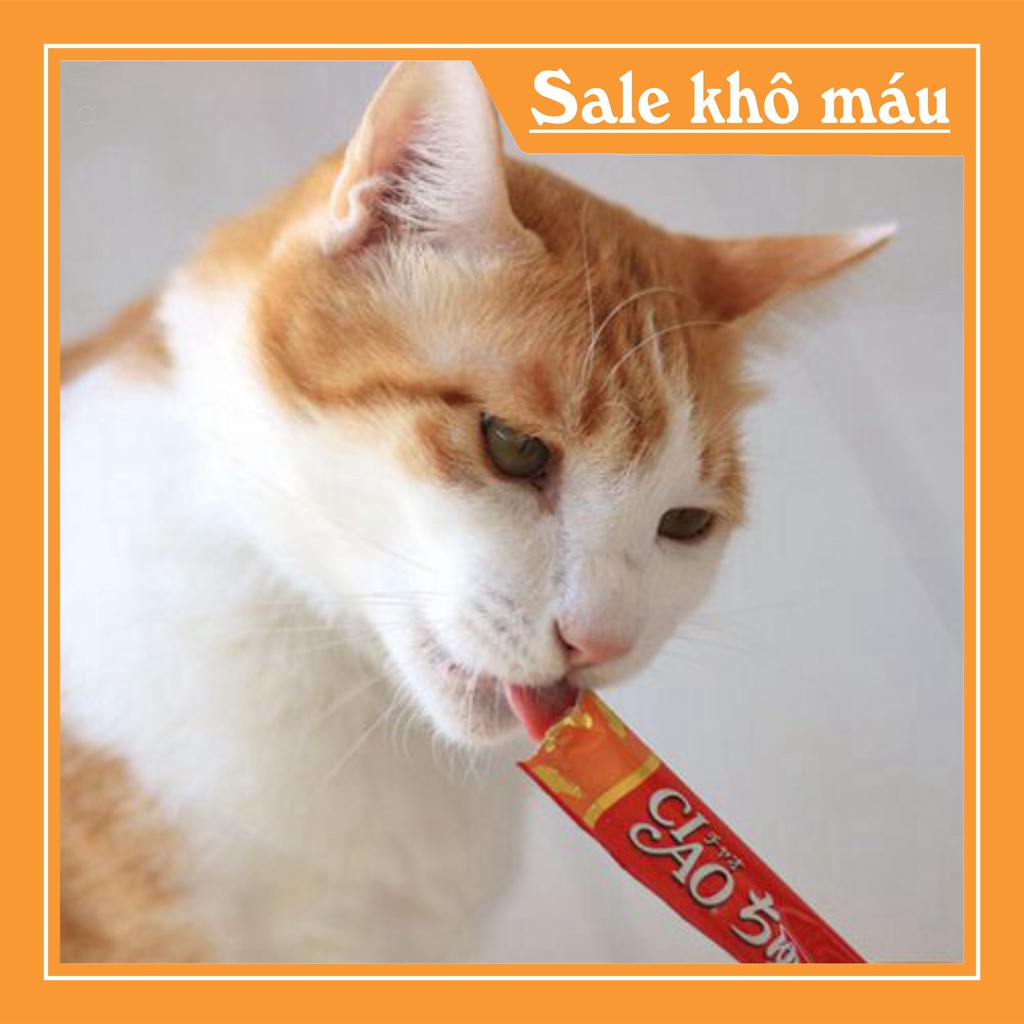 [FLASH SALE] Thức ăn cho mèo súp thưởng ciao cho mèo