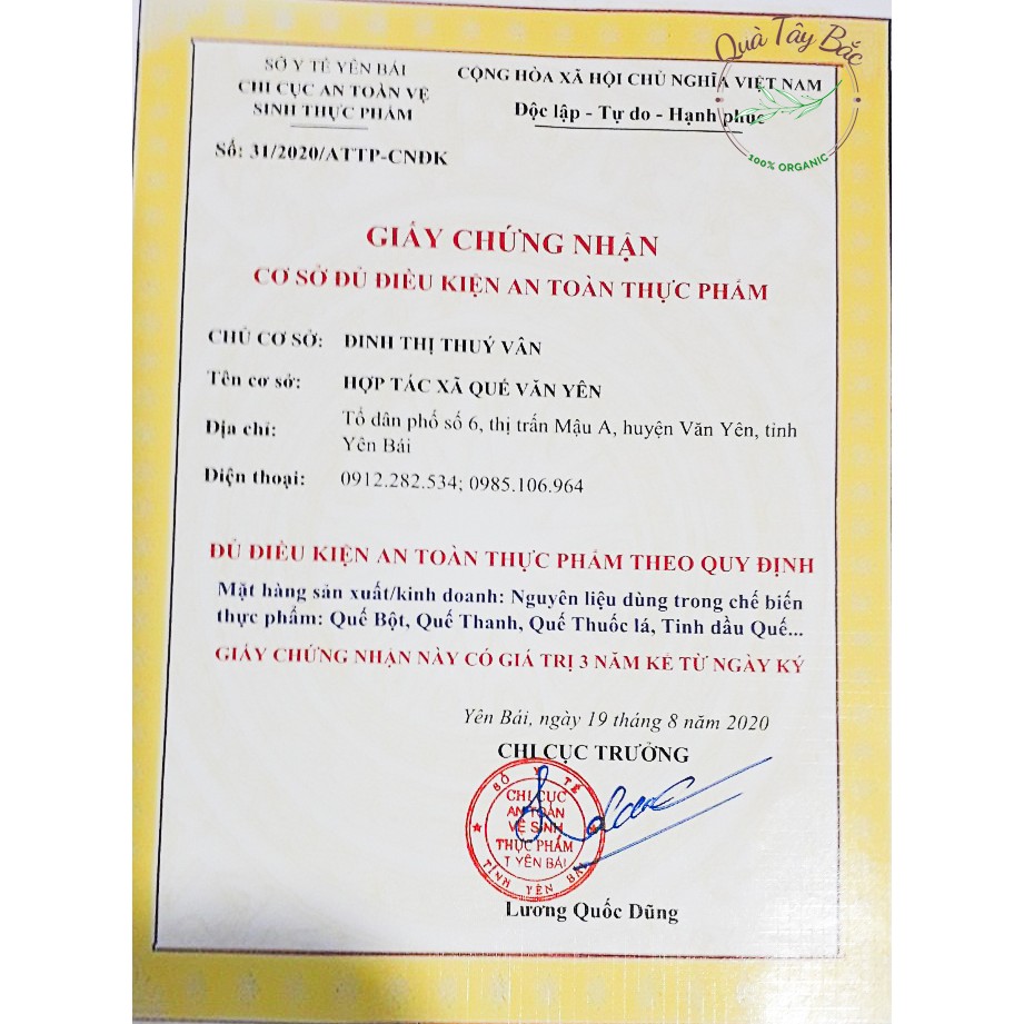 Trà quế túi lọc đặc sản Văn Yên - Yên Bái chuẩn TỰ NHIÊN - NGUYÊN CHẤT hộp 20 túi lọc