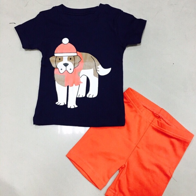 Combo bộ carter