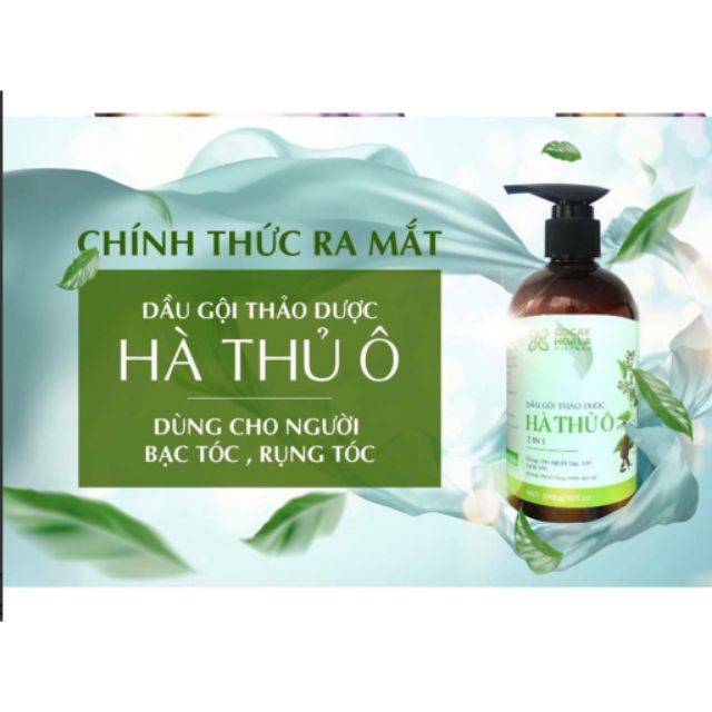 [Tặng quà chính hãng] Dầu gội thảo dược  hà thủ ô 2in1 bí quyết giảm rụng tóc, bạc tóc cho mái tóc khỏe | BigBuy360 - bigbuy360.vn