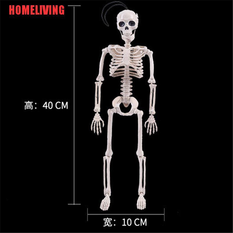 Bộ Xương Người Kinh Dị Trang Trí Halloween