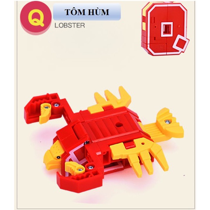 Đồ Chơi Cho Bé Chữ Cái Biến Hình Thông Minh O_P_Q_R_S_T