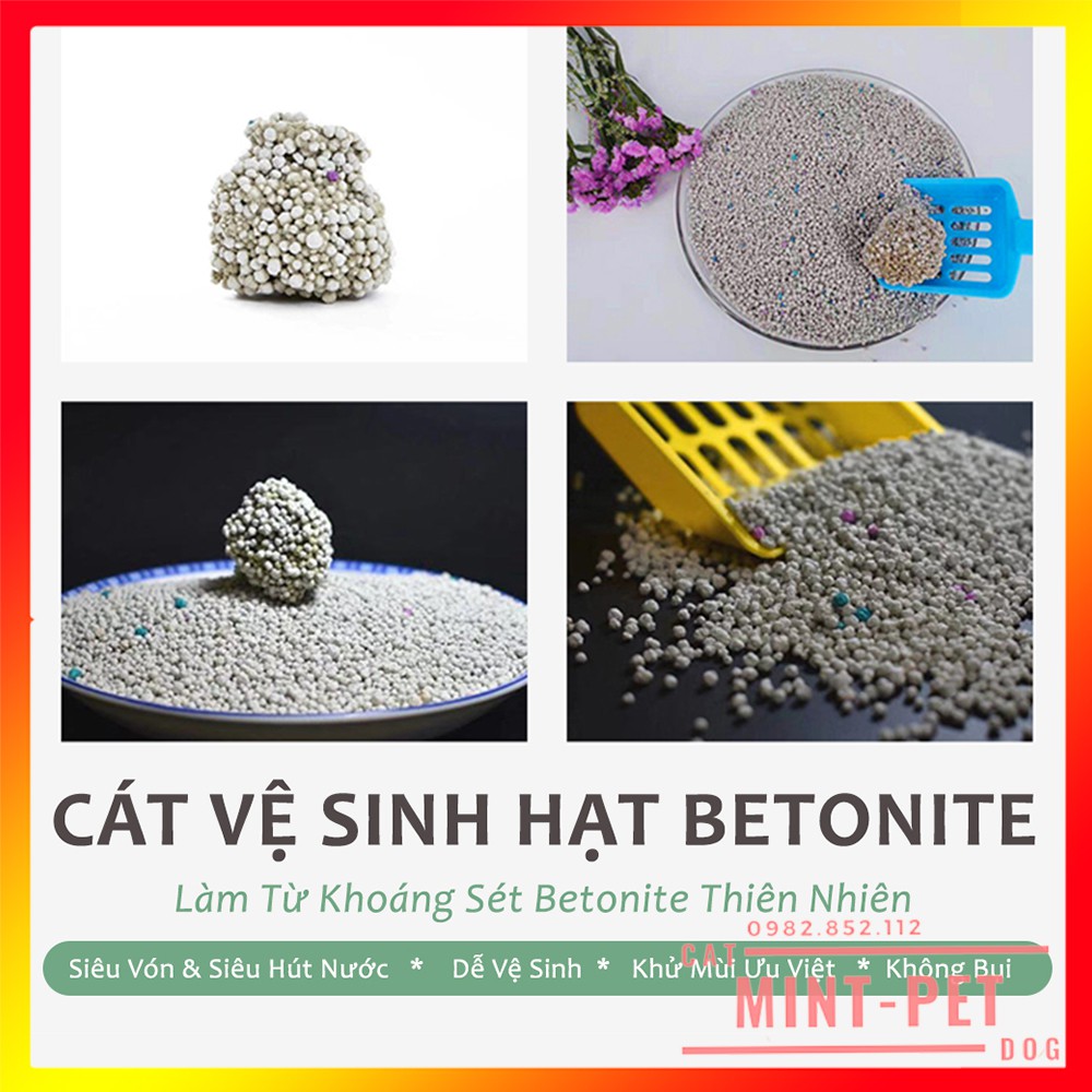 Cát Vệ Sinh Cho Mèo Siêu Rẻ Siêu Tiết Kiệm Bao 8L &amp; 5L- Cát Mèo Giá Rẻ #MintPet