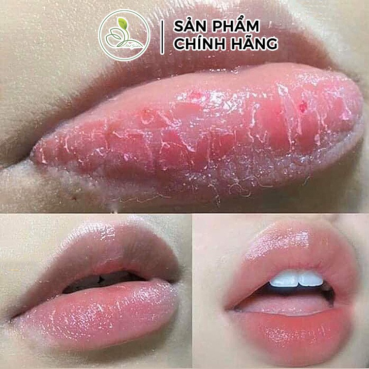 Son Dưỡng Môi Mini Garden Lip Balm PV989 | BigBuy360 - bigbuy360.vn