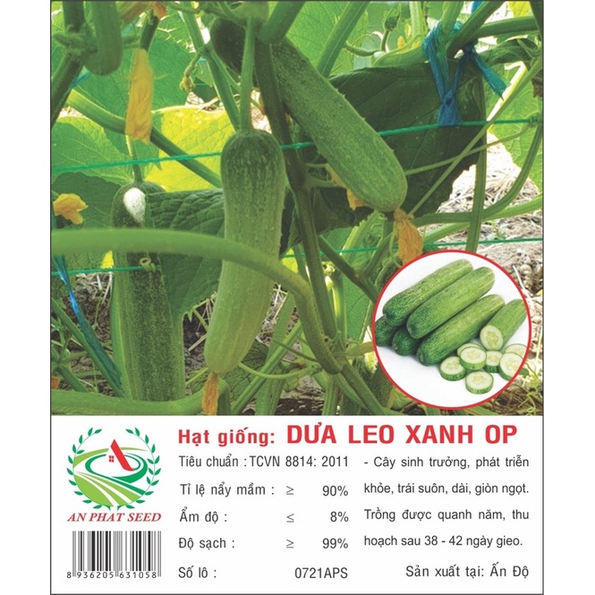 Hạt giống Dưa Leo Xanh OP 1g