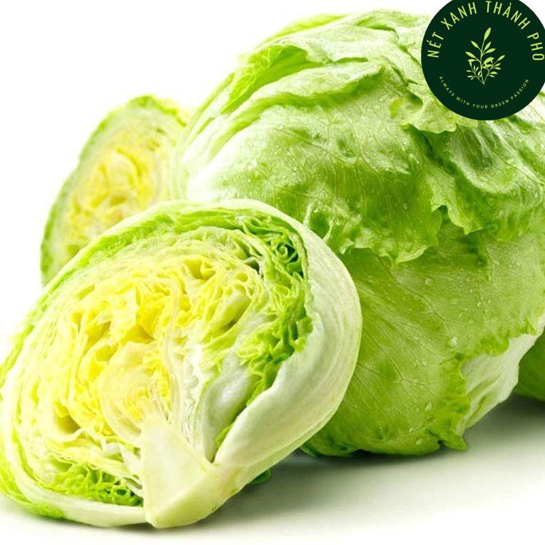 Hạt giống Xà lách Iceberg, xà lách giòn, 2gram