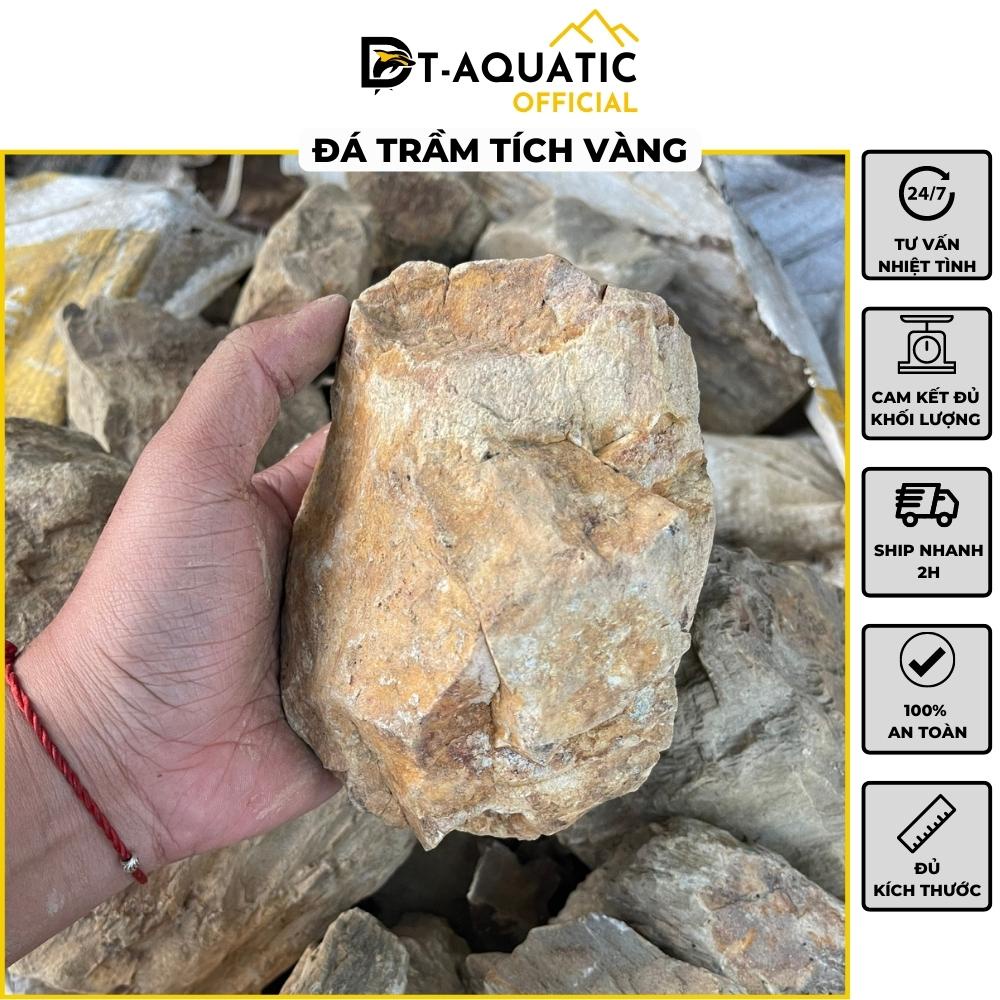 Đá Trầm Tích Vàng (1KG) Setup Bể Thuỷ Sinh,Tiểu Cảnh Bán Cạn, Trang Trí Bể Cá Cảnh