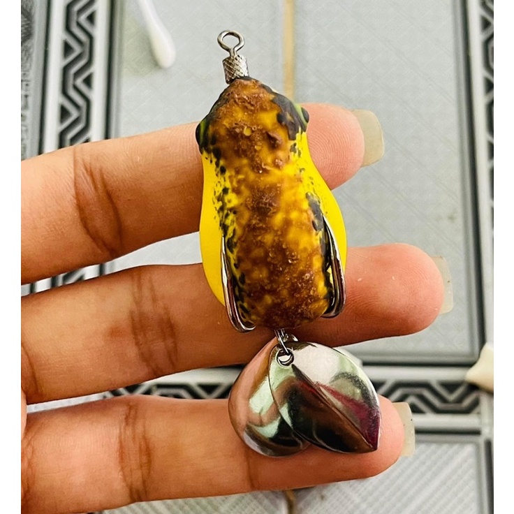 NHÁI HƠI CÂU LURE ẾCH TRÒN