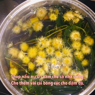 Trà hoa cúc trắng loại 1