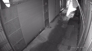 Camera IP CARECAME ngoài trời