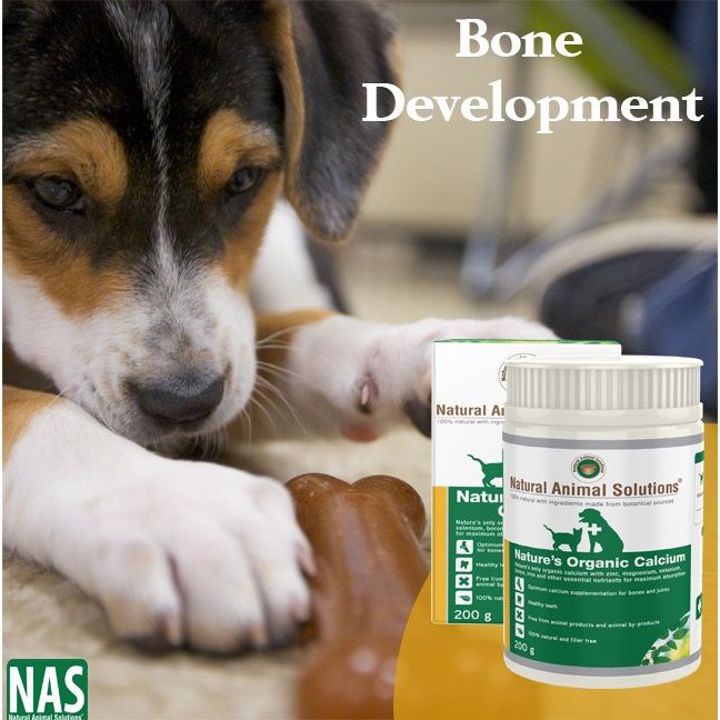 Bổ Sung Canxi Cho Thú Cưng Natural Animal Solutions Natures Organic Calcium 200g