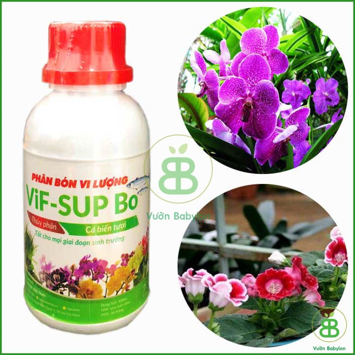 Phân Bón Vi Lượng Thủy Phân Cá Biển VIF SUP Bo Chai 100ml