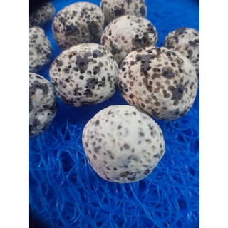 Sứ Lọc Nước Hồ Cá Các Loại 100gr
