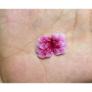 Hoa bột nail gắn móng chân