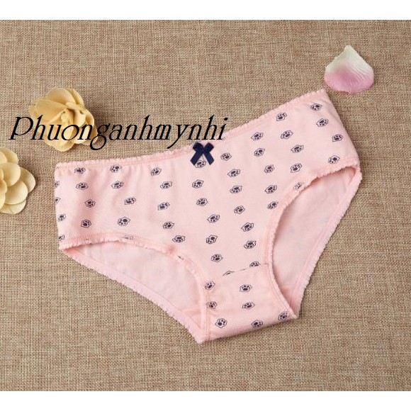 Set 4 cái quần lót nữ cotton mèo cute