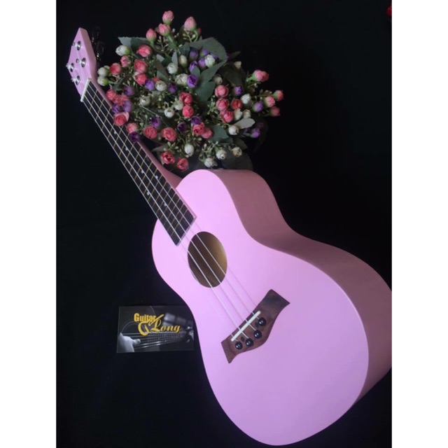 Đàn Ukulele Concert MT giá rẻ