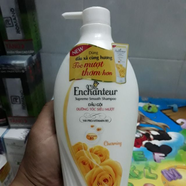 Gội enchanter cao cấp