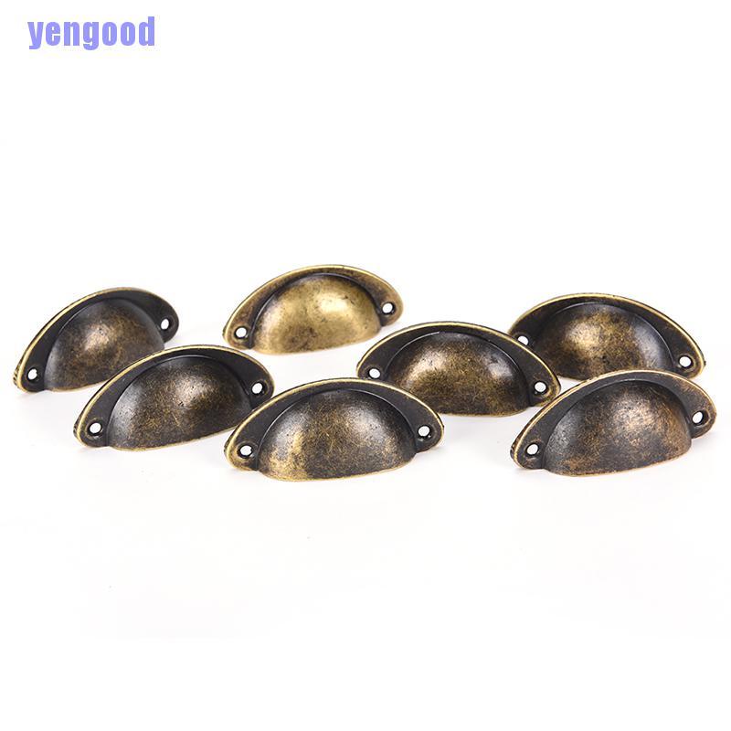 Bộ 12 Vỏ Sò Phong Cách Cổ Điển