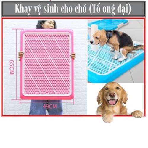 HN- Khay vệ sinh cho chó lớn và nhỏ (màu ngẫu nhiên)Tặng 3 tấm tã giấy - khay dạng dẹt đi vệ sinh cho chó đực và chó cái