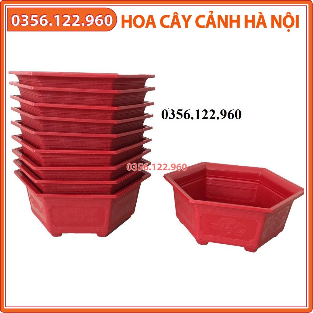 Bộ 5 chậu nhựa lục giác đỏ trồng cây - đường kính 28cm