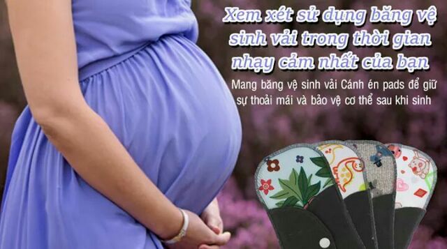 BVS VẢI DORABE BAN ĐÊM DÀI 31CM THẤM HÚT TỐT