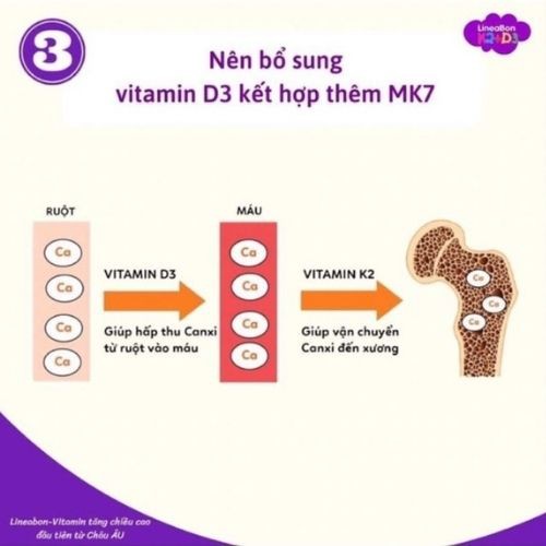 Vitamin D3 và K2 LineaBon [Chính Hãng Nhập Khẩu Từ Châu Âu]