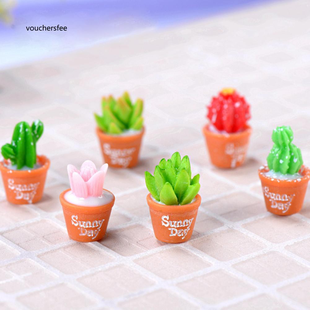 Set 2 mô hình cây xương rồng mini bằng nhựa dùng để trang trí tiểu cảnh