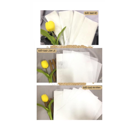 20 Tờ giấy gạo/ WAFER PAPER HÀ LAN
