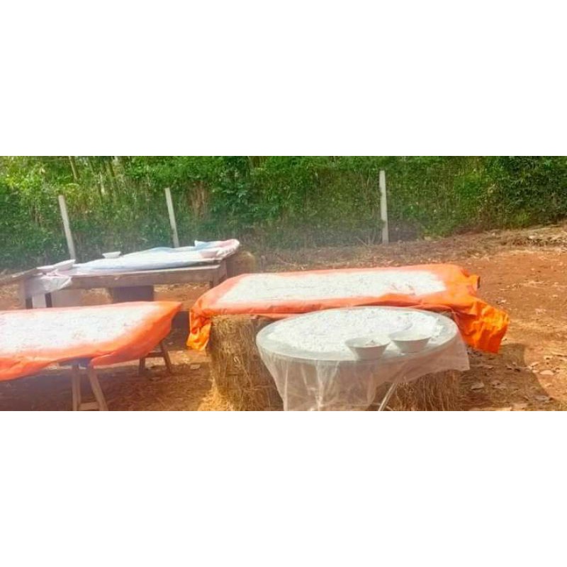 Bột Bình Tinh nguyên chất 100%