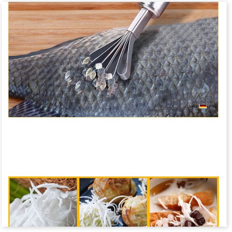 Đánh vảy cá  💯 GIÁ VỐN]   Cây cạo vảy cá, nạo dừa chất liệu thép không gỉ, bền bỉ 3176