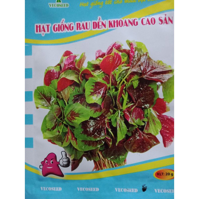 hạt rau dền cao sản