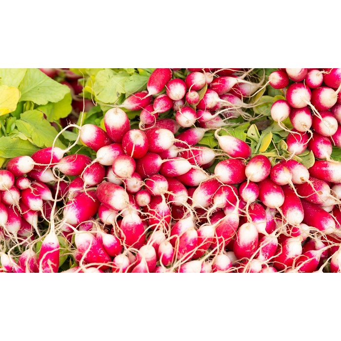 Hạt giống củ cải trắng hồng - rau củ quả trồng chậu,chịu nhiệt 4 mùa giòn ngọt nảy mầm cao 1gr RADO 505