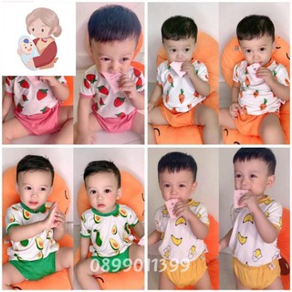 Bộ quần áo trái cây trẻ em cho bé, mã BCS890