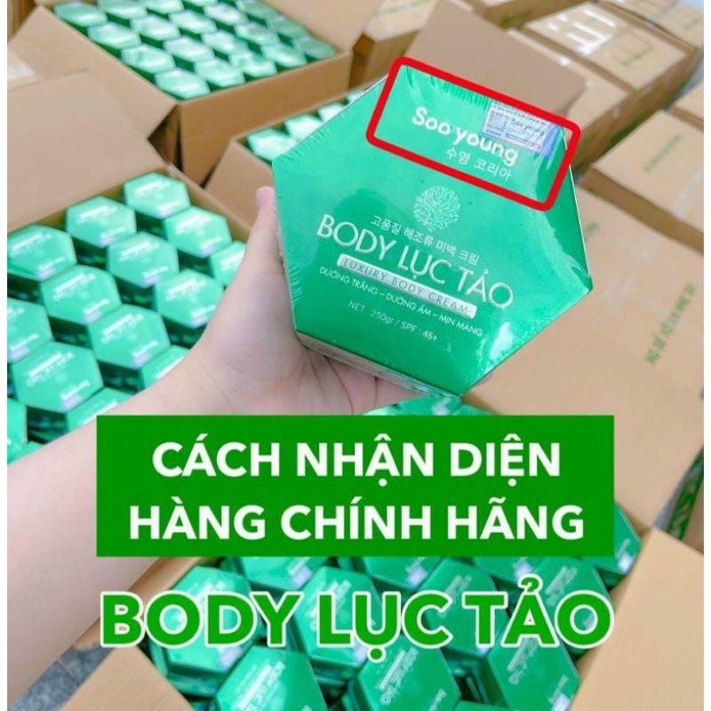 Body lục tảo biển xanh có tem chính hãng (lục tảo) 250gr