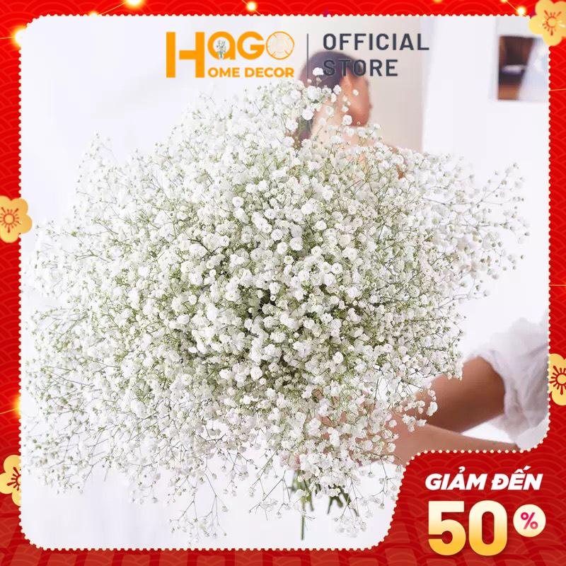 Hoa khô, bó hoa Baby Bloom trắng tinh khôi làm quà tặng, decor nhà