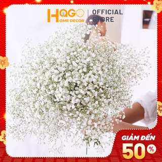 Hoa khô, bó hoa Baby Bloom trắng tinh khôi làm quà tặng, decor nhà