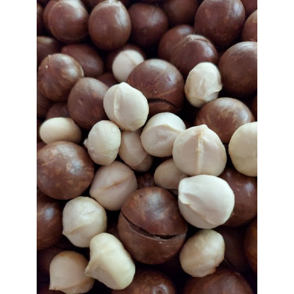 Hạt macca sấy nứt vỏ size đại(500g)