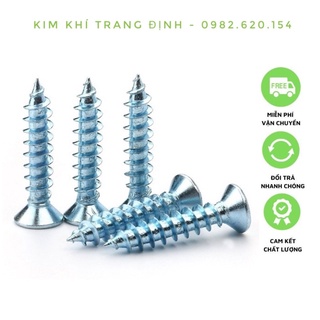 100 grams vít chìm mạ, vít sắt, vít bắt nở nhựa các cỡ