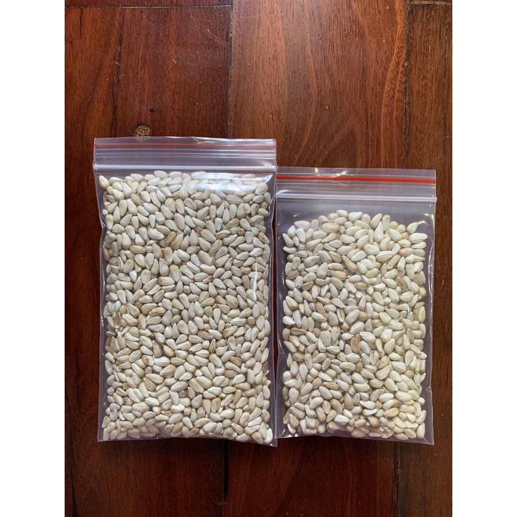 Hạt kham cho Hamster