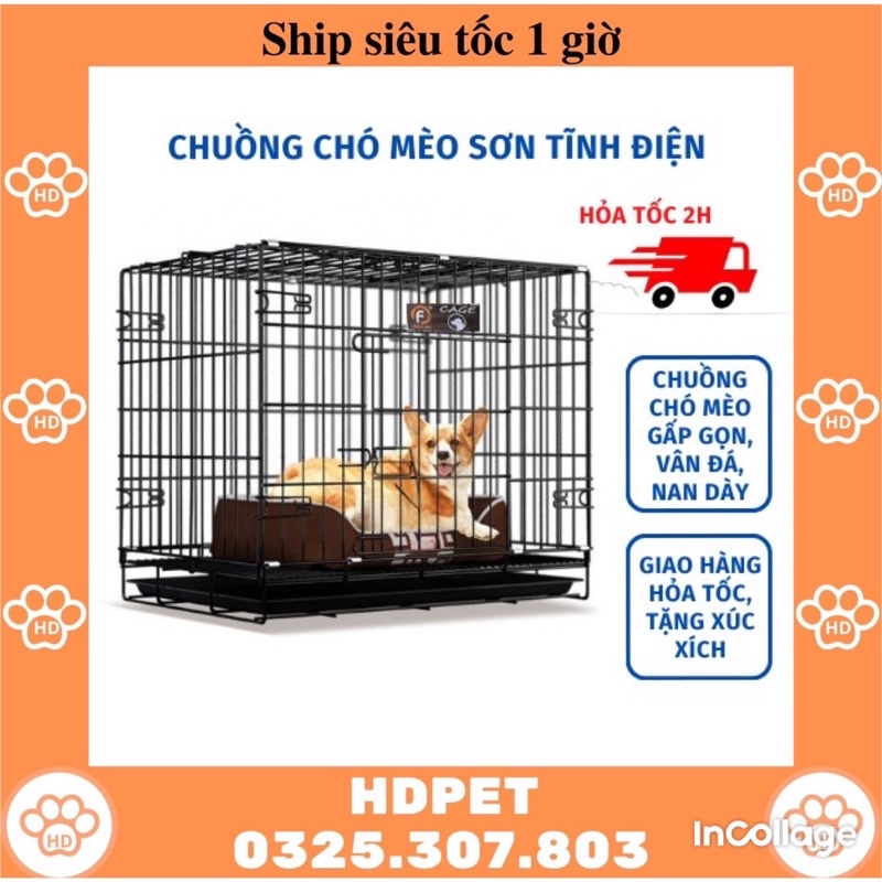 Lồng chó mèo, chuồng chó mèo tặng khay vệ sinh size M 60cm x 42cm